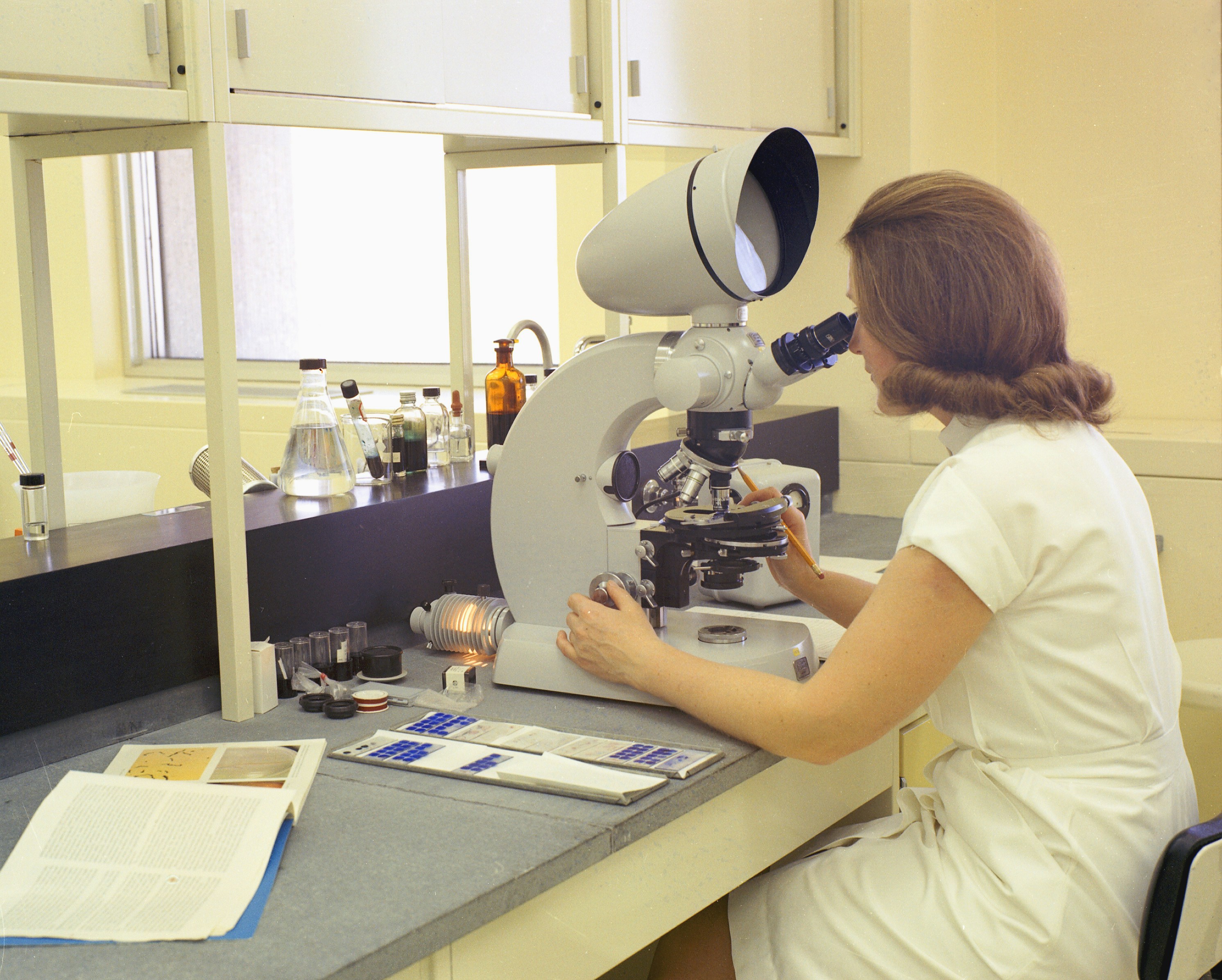 Merck — German science and American pharmaceutical leadership